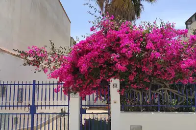 Image de Villa near the beach with garden, private parking for families, groups & climbers