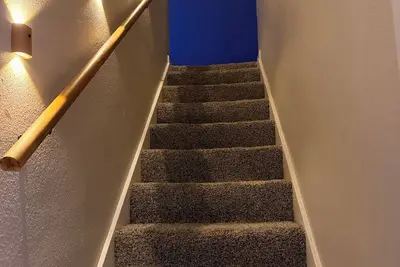 Image de Fifa Neat Nest