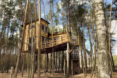 Image de Treehouse Villa - Leśna Przystań