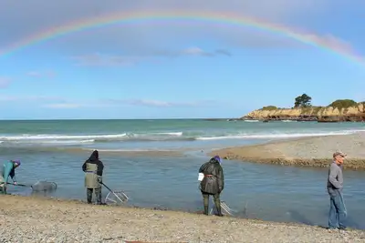 Image de Private Kakanui Beach Escape: Surfer’s Sanctuary, Fisherman's Paradise.