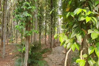 Image de the 'Farm Estate Social' Colonial House in Nature