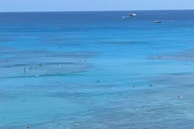 Image de Waikiki's Premiere Ocean Front Hotel The Waikiki Beach Tower Location and Luxury