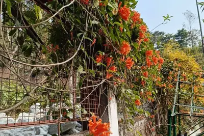 Image de Peaceful Stay in Zitlang  | A Serene Nature Retreat for a  Refreshing Getaway
