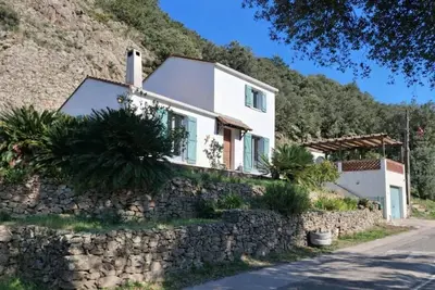 Image de Les murmures des albères