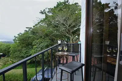 Image de Alma Verde