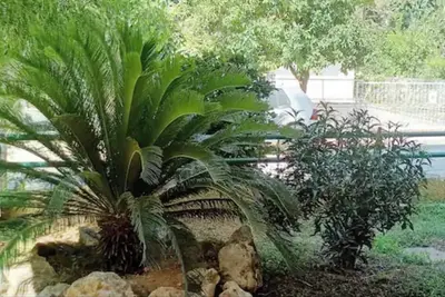 Résidence Marousi avec jardin