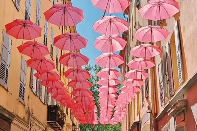 Image de La vie en Rose Grasse Centre Historique