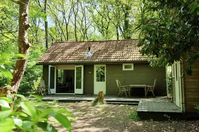 Image de Cozy Forest House in Nature with Sauna - Enjoy tranquility in the Vechtdal 1-5 pers.