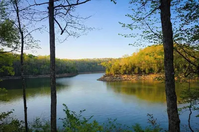 Image de The Lake Nest Off Jamestown Square - Hot Tub, Grill, Sidewalk & Close to Lake