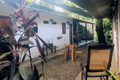 Image de Avocado: Harmony, Texture, Connection, and Peace 187715