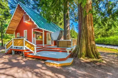 Image de Riverfront Cabin | Hot Tub | Dogs Ok | Near Mt Rainier