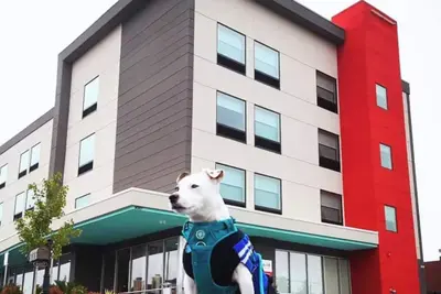 Image de Round Rock Center, 2 Queen Studio, Gym & Breakfast