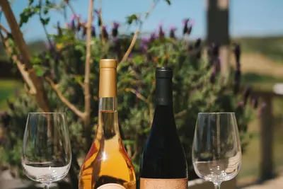 Image de Boutique vineyard retreat 45 mins from Lisbon, calm and refined escape