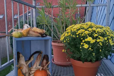 Image de Vacation apartment/apartment for 3 guests with 80m² in Handewitt (312463)