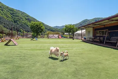 Image de Gapyeong Funny Mongmong Galaxy House