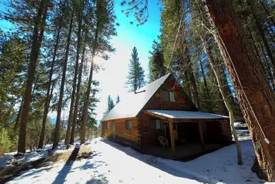 Image de The Perfect Cozy Cabin of Elo Road!