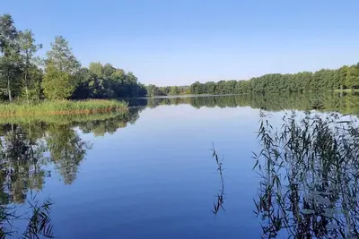 Image de Lakehouse in Naturepark