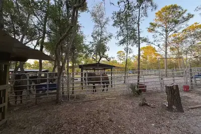 Image de Hudson Horse Ranch