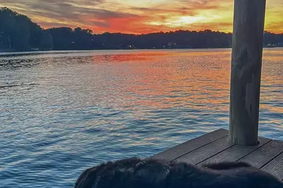 Baloo Lagoon - Pet Friendly / Sunset Views