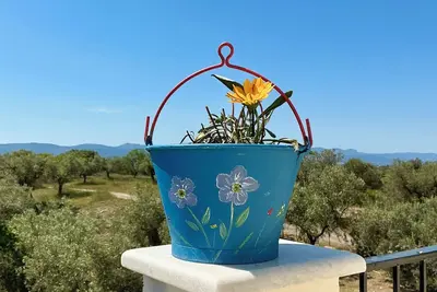 Image de Horizon House\nWith olive grove and vineyard
