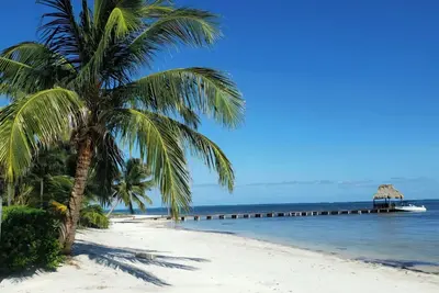 Image de Indigo Belize 4c Large, 3 bedroom beach view condo steps from the water.