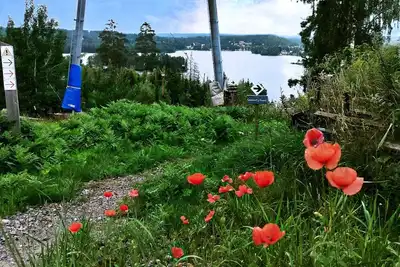Image de Cozy Swedish-style house near the lake on a large, sunny lot