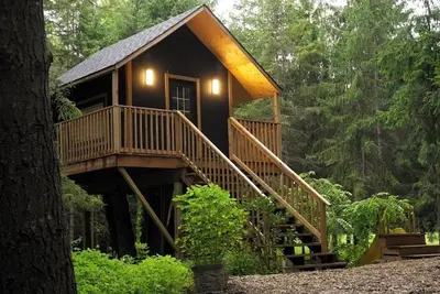 Image de Forest Getaway