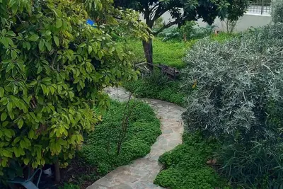 Image de Pavlos Apartment - Leontari Stay with Garden View
