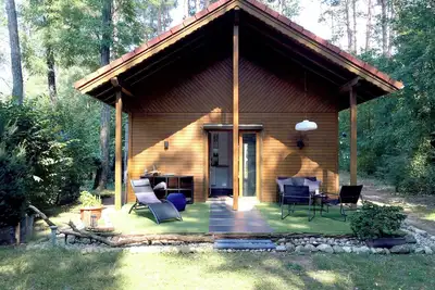 Image de Forest and well-being. Time out in Brandenburg. Nature! Recreation and activities