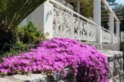 Image de Incanto Apartment - Dream sea view with terrace and garden in Nerano