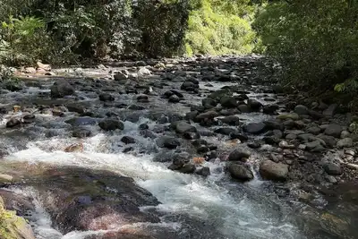 Image de Enchanting 4-Bedroom Rainforest Cottage with a Beautiful River Setting