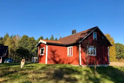 Image de A holiday without neighbors in a clearing near the Baltic Sea