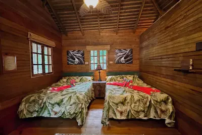 Image de Great Green Wing Oceanfront Jungle Treehouse - Private Caribbean Retreat
