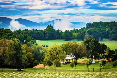 Image de Charming Vineyard Cabin-Wine, Vines, & Views near-Wlu, Vmi, & The Horse Center