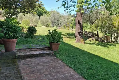 Image de In the countryside in Montefiascone