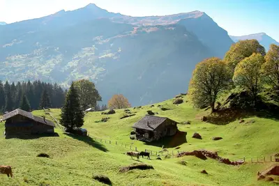 Image de Confortable appartement pour 4 personnes avec Wifi, Tv et balcon