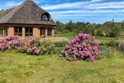 Image de Maison forestière octogonale avec toit de chaume près de Herning