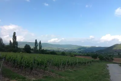 Image de Maison de plain pied Alba la Romaine au coeur de l'Ardèche du sud.