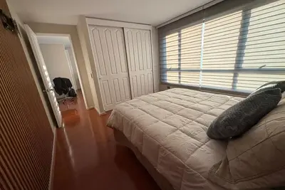 Image de Comfortable and cozy apartment 5 minutes from the Costanera Center.