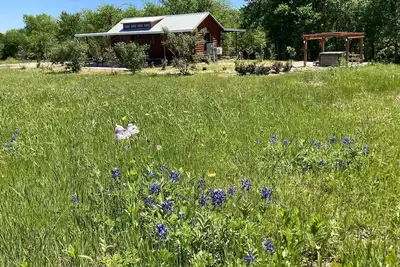 Image de Blackland Prairie Estate: Log Cabin + Lodge + Hot Tub on 14 Stunning Acres