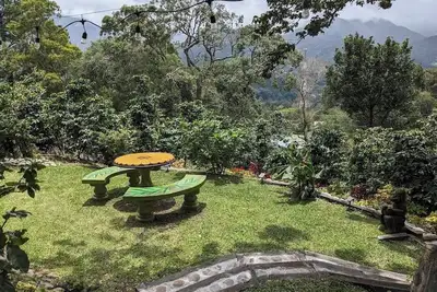 Image de Coffee Cabins - Cabin 1