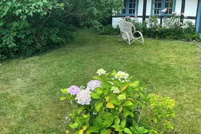 Image de Maison à colombages avec toit de chaume sur l'idyllique île de Fejø
