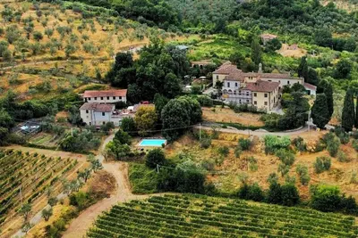 Image de Limonaia entre vignobles et oliviers à Bacchereto