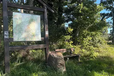 Image de Coming as a guest and leaving as a friend