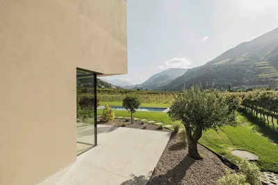 Image de Maison moderne avec piscine au milieu des vignes à Bolzano