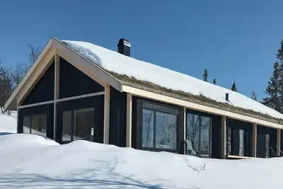 Image de Une cabane moderne dans les arbres où l'on sent la nature