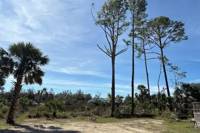 Image de Privacy Rv Marsh site fantastic location for your Rv glamping experience