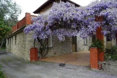 Image de iI Glicini - with terrace