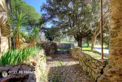 Image de Le 50132 - Corbara - Gîte