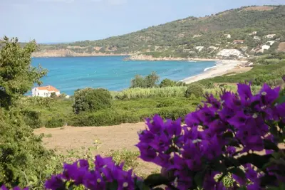 Image de Coté mer Rdc - Cargese